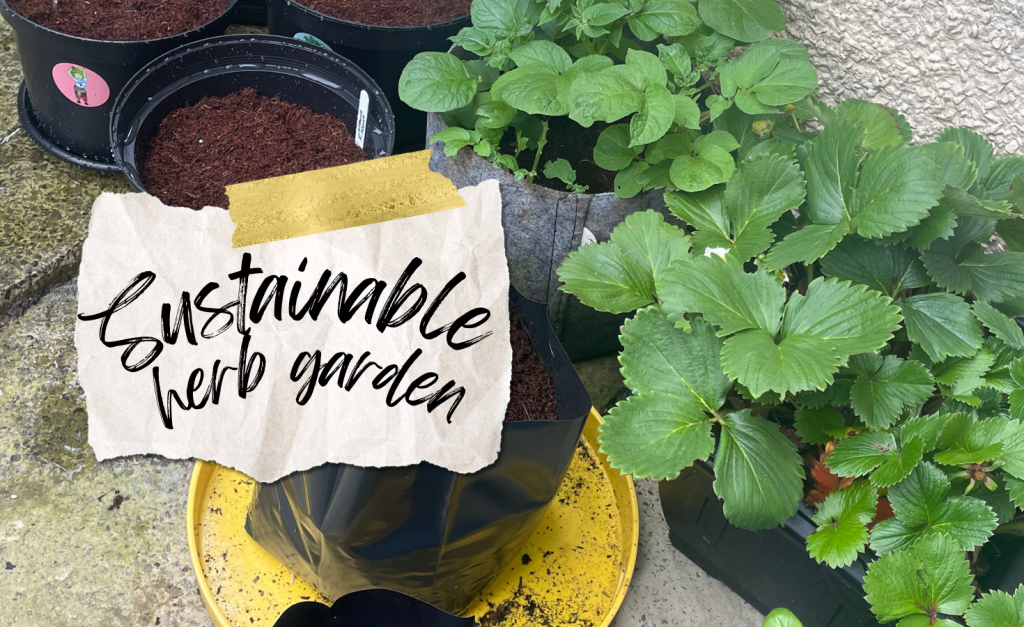 Goal number 2 is to create a sustainable herb garden.