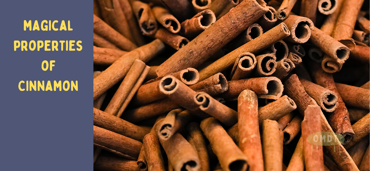 The Magical Properties of Cinnamon
